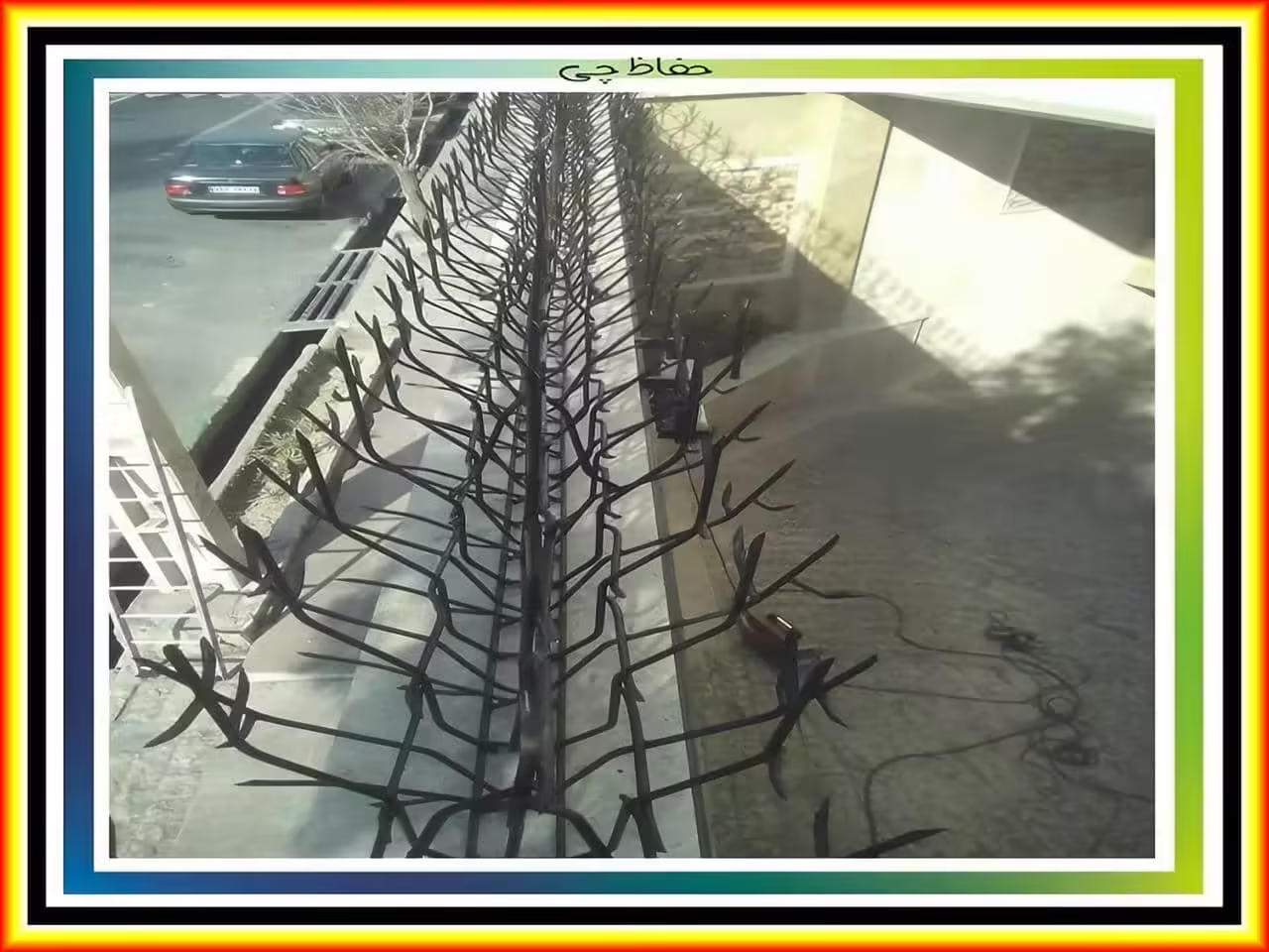 قیمت حفاظ شاخ گوزنی چقدر است؟ قیمت حفاظ شاخ گوزنی چقدر است؟