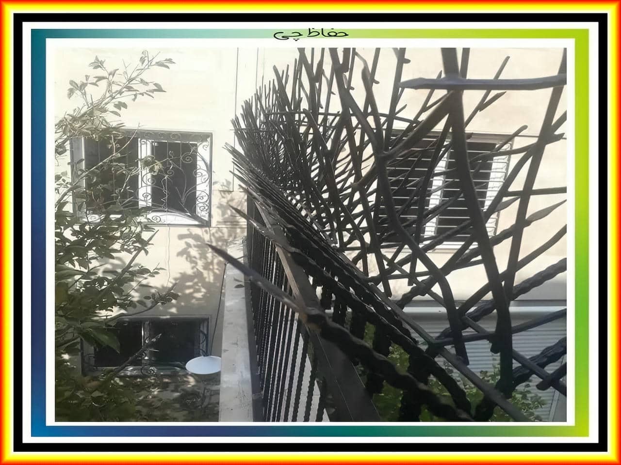 ساختار حفاظ شاخ گوزنی ساختار حفاظ شاخ گوزنی