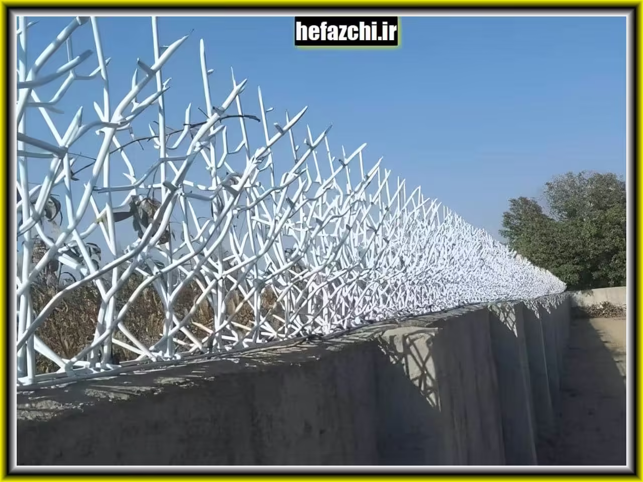 حفاظ شاخ گوزنی: امنیت و زیبایی برای تمامی فضاها حفاظ شاخ گوزنی: امنیت و زیبایی برای تمامی فضاها