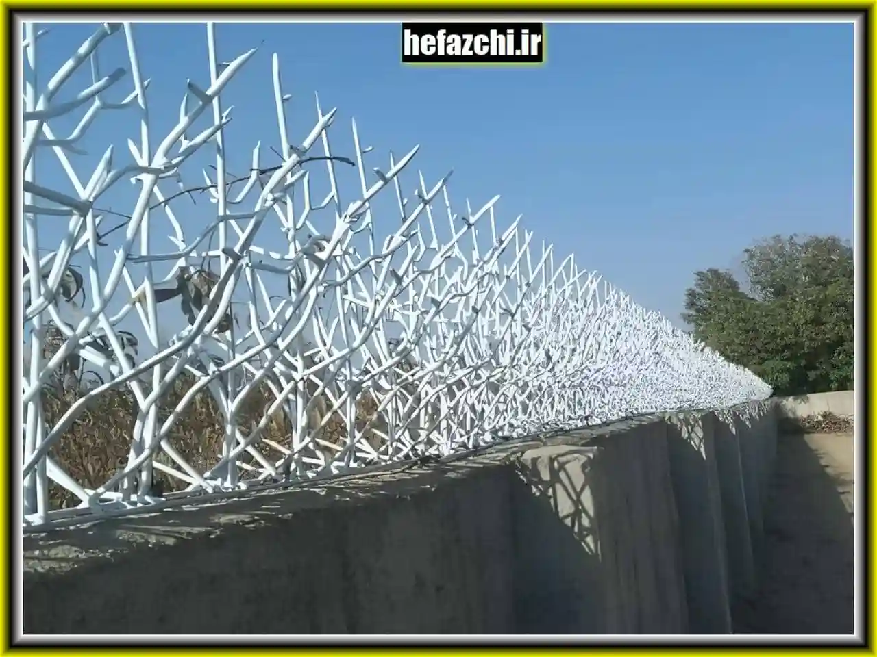 حفاظ شاخ گوزنی