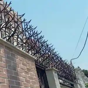 حفاظ اف آبشاری