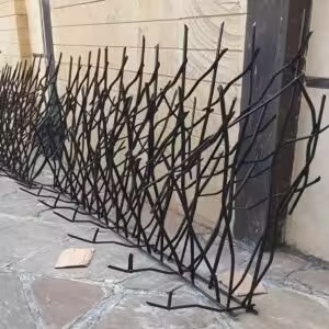 حفاظ شاخ گوزنی تراکم 31