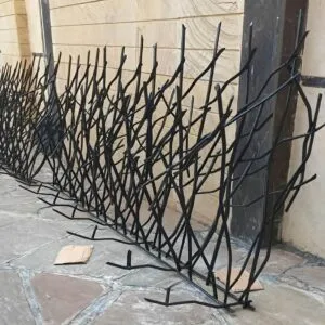 حفاظ شاخ گوزنی تراکم 31