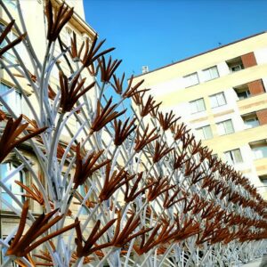 حفاظ غنچه ای