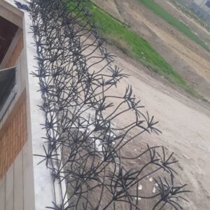 حفاظ نخل مرداب