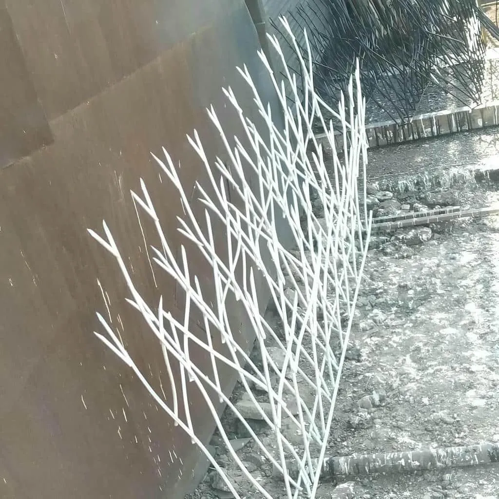 حفاظ امنیتی