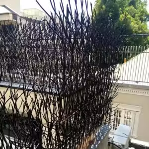 کاربرد حفاظ شاخ گوزنی