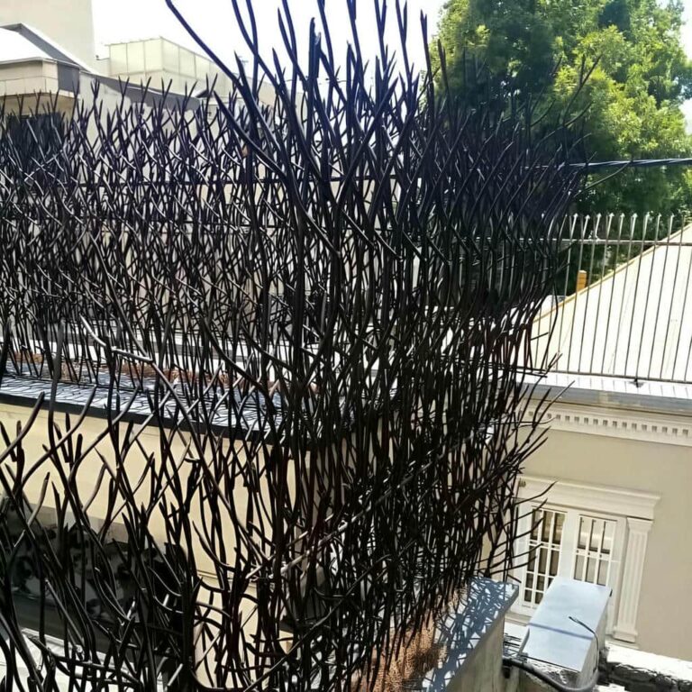 کاربرد حفاظ شاخ گوزنی