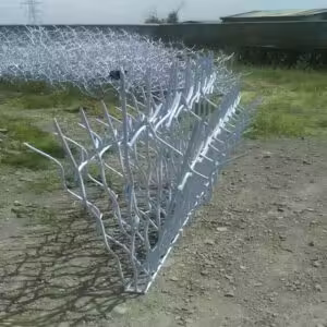 مشاهده عکس مدل های متنوع حفاظ شاخ گوزنی مشاهده عکس مدل های متنوع حفاظ شاخ گوزنی