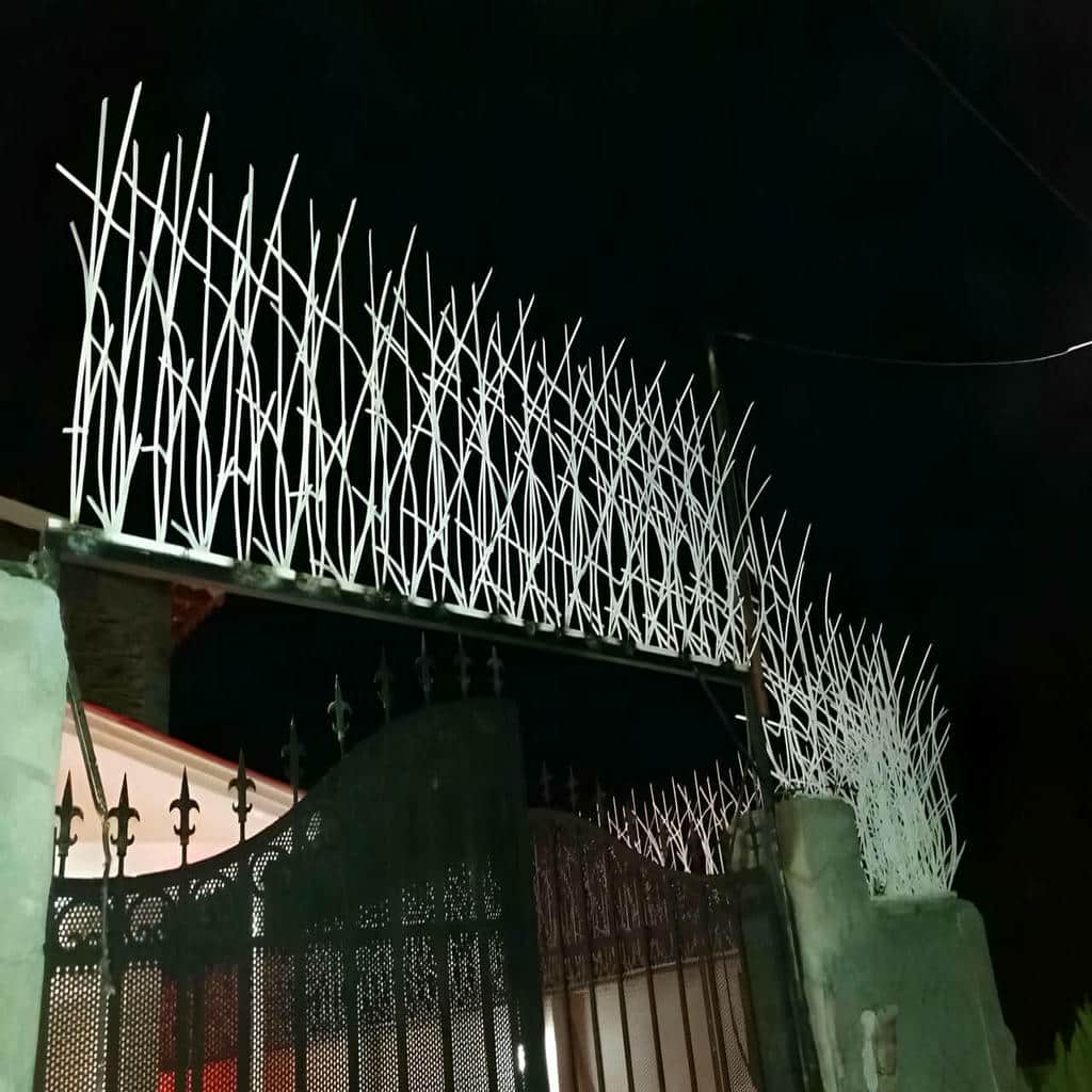 قیمت حفاظ شاخ گوزنی تراکم اقتصادی در شیراز