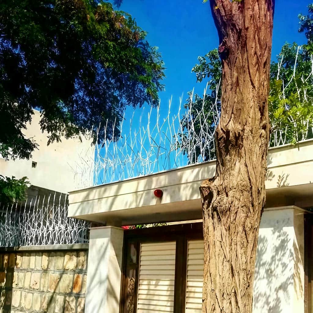 خرید حفاظ شاخ گوزنی مدل اقتصادی در فیروزکوه