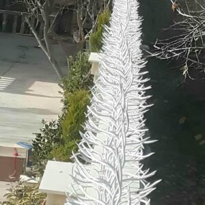 حفاظ شاخ گوزنی در آبادان