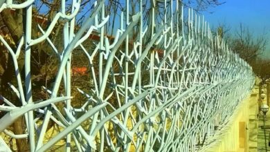 fence-wall-protection-deer-antler-spear-adn