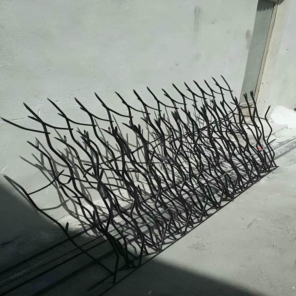 کارخانه حفاظ شاخ گوزنی در پردیس