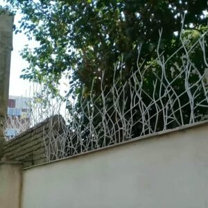 حفاظ شاخ گوزنی در فیروزکوه