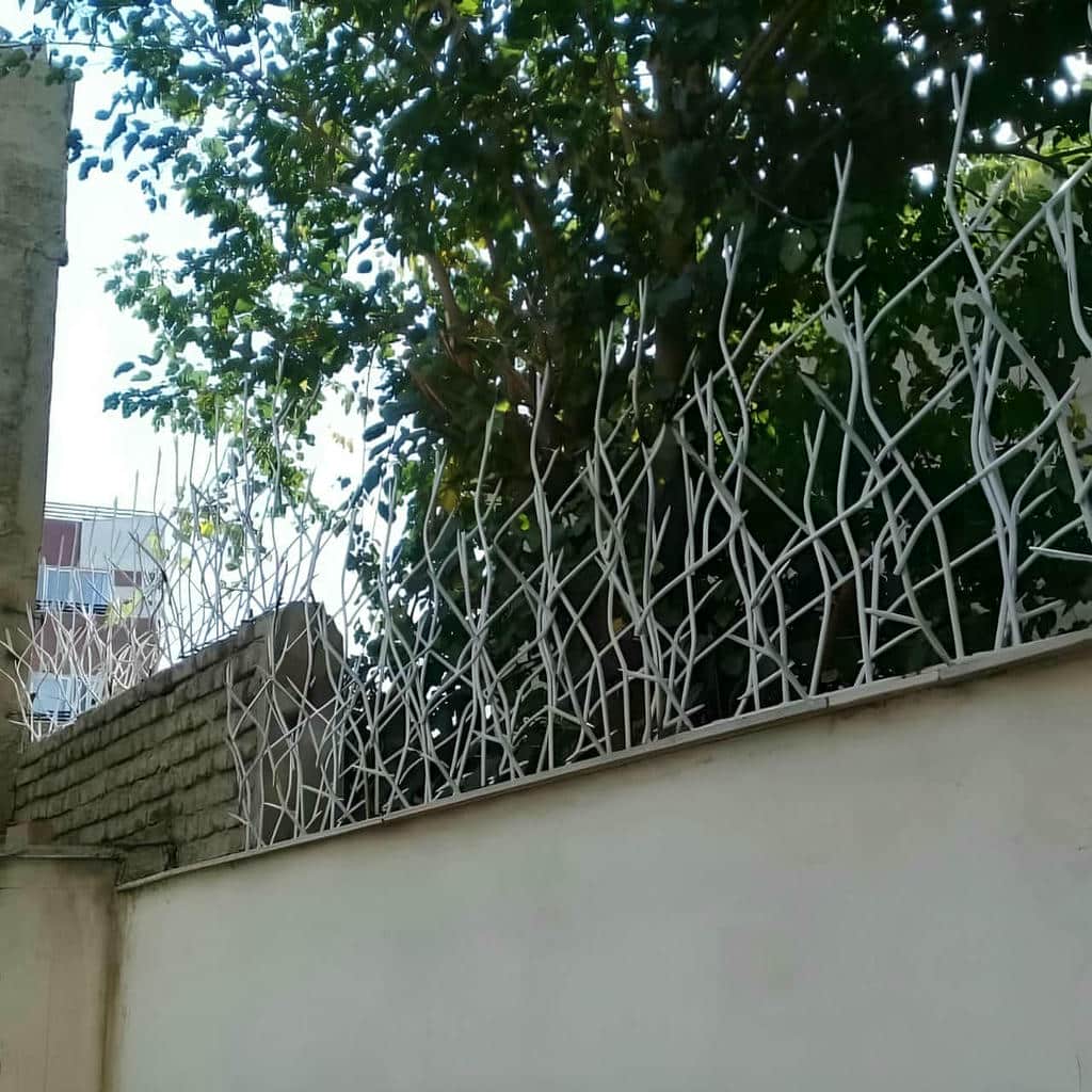 حفاظ شاخ گوزنی در فیروزکوه