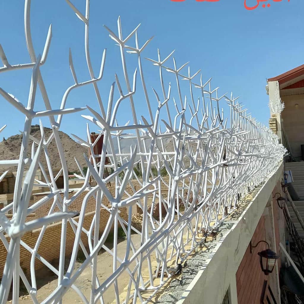 قیمت حفاظ شاخ گوزنی امنیتی در کمال شهر
