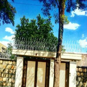 حفاظ شاخ گوزنی در کاشان