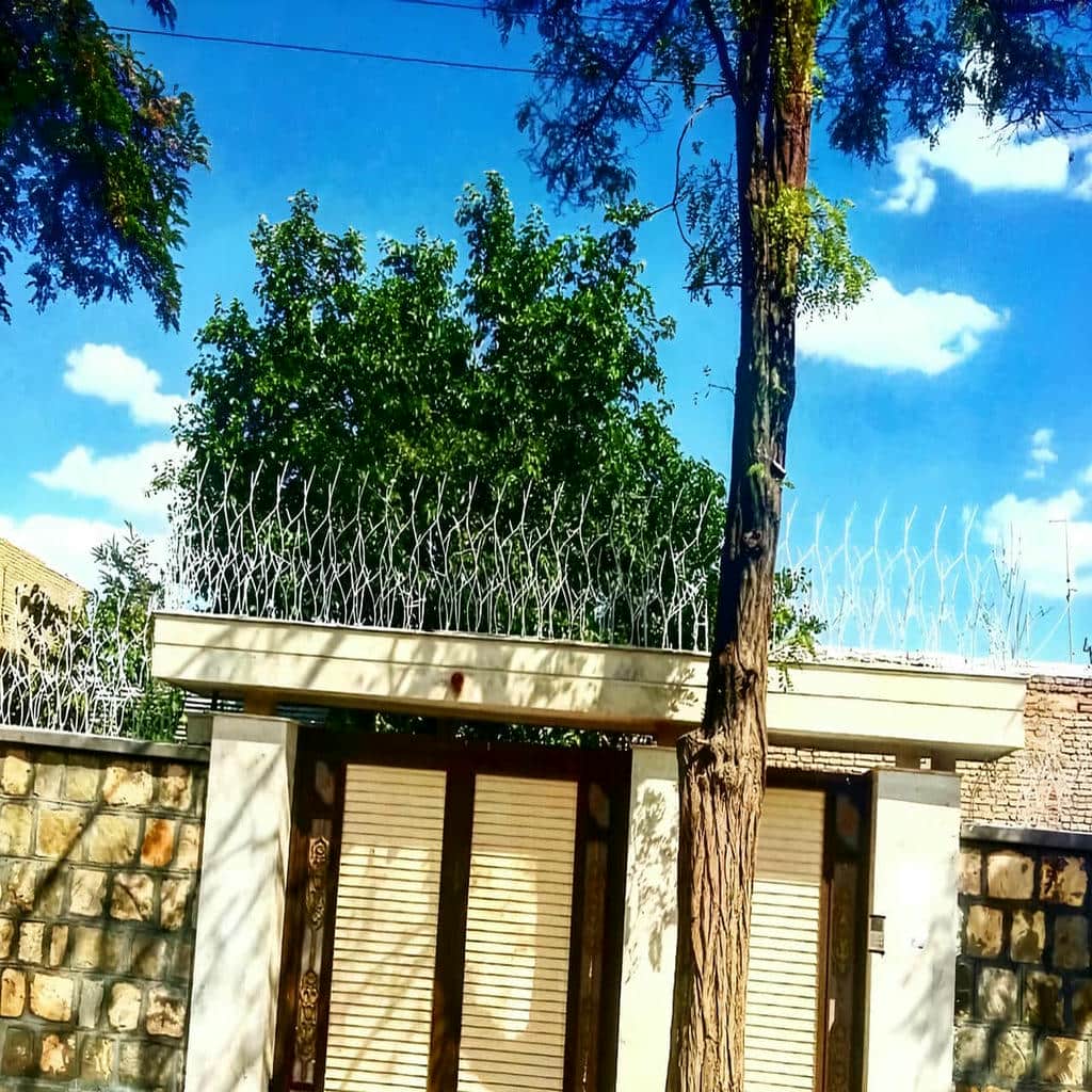 حفاظ شاخ گوزنی در کاشان