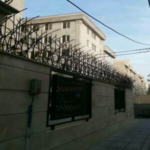 حفاظ شاخ گوزنی در پردیس
