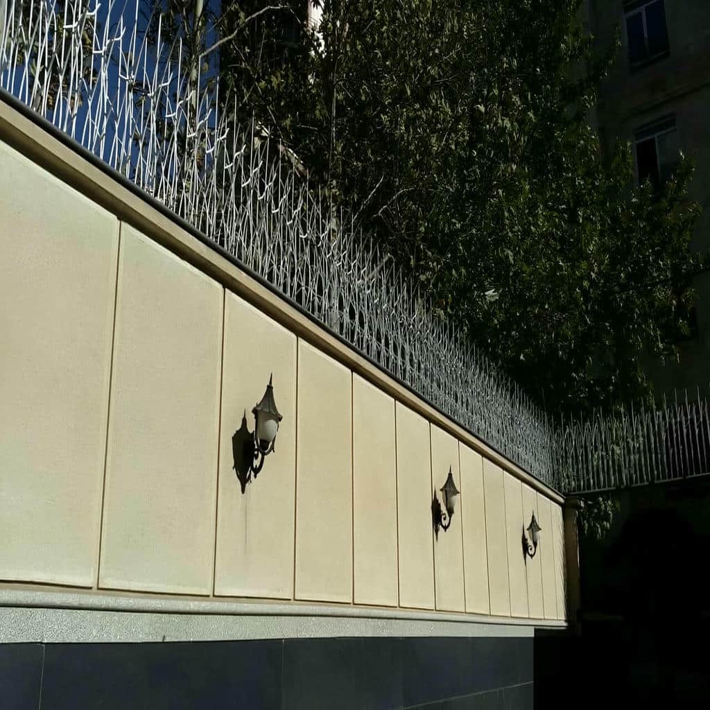 قیمت حفاظ شاخ گوزنی اقتصادی در گرگان