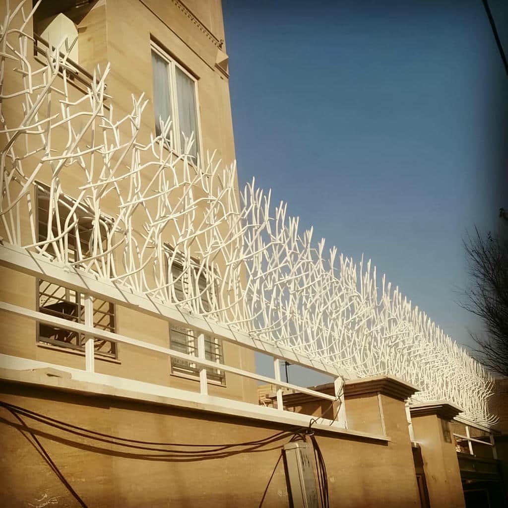 حفاظ شاخ گوزنی در بیرجند