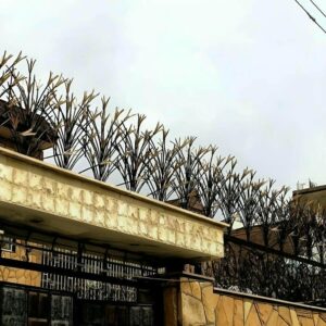 حفاظ شاخ گوزنی در تبریز