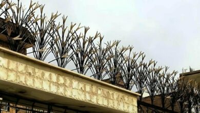 fence-wall-protection-deer-antler-spear-amt