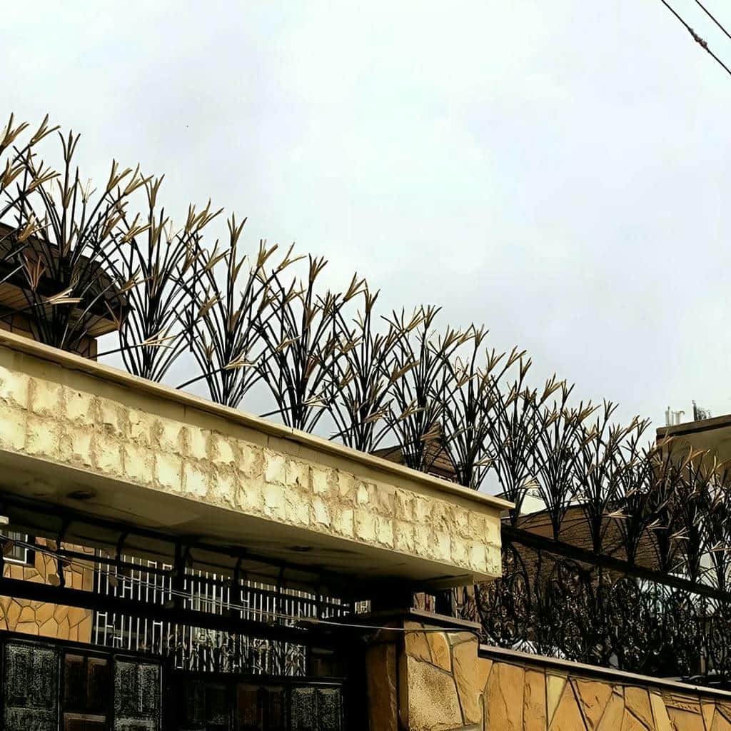 حفاظ شاخ گوزنی در تبریز