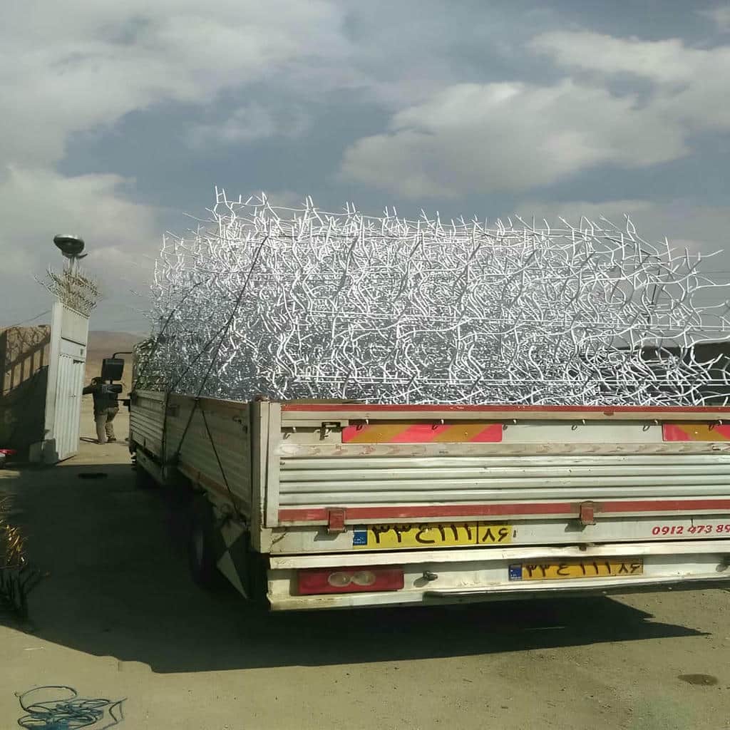 حفاظ شاخ گوزنی در لواسان