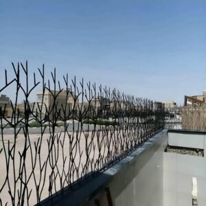 حفاظ شاخ گوزنی در سبزوار