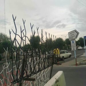 حفاظ شاخ گوزنی در استان گلستان