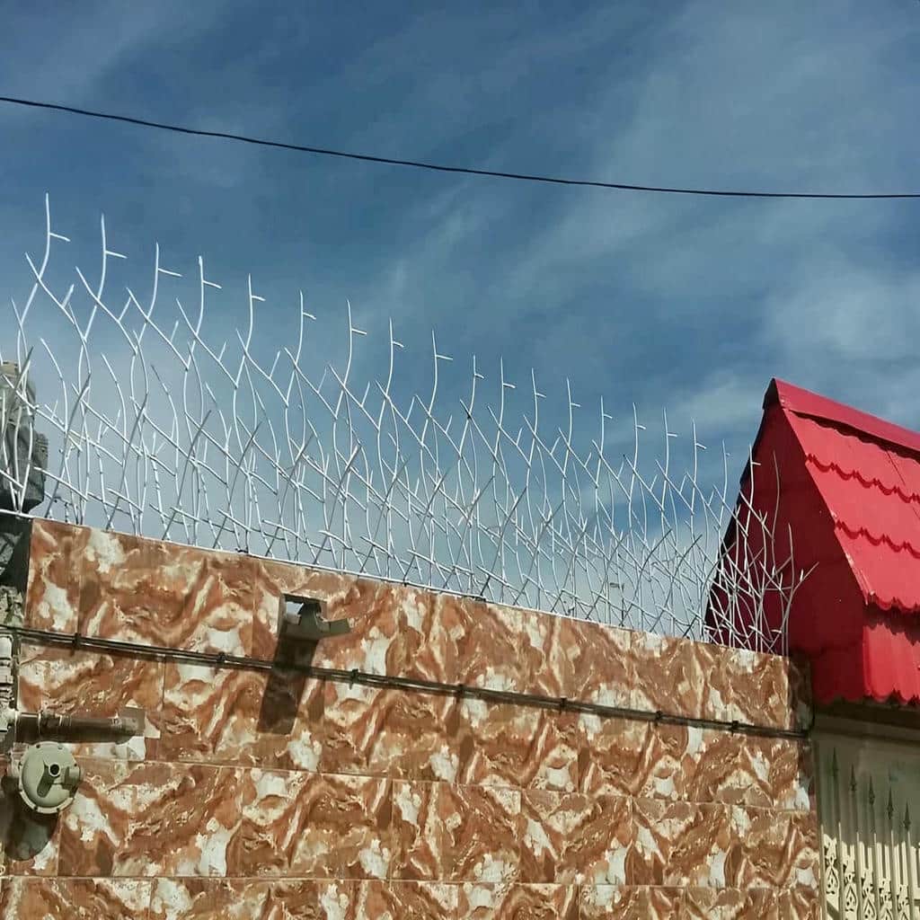 قیمت حفاظ شاخ گوزنی پرتراکم امنیتی در زاهدان
