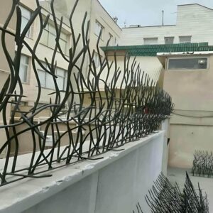 حفاظ شاخ گوزنی در سنندج