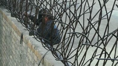 fence-wall-protection-deer-antler-spear-auw