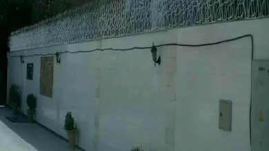 حفاظ شاخ گوزنی در هشتگرد