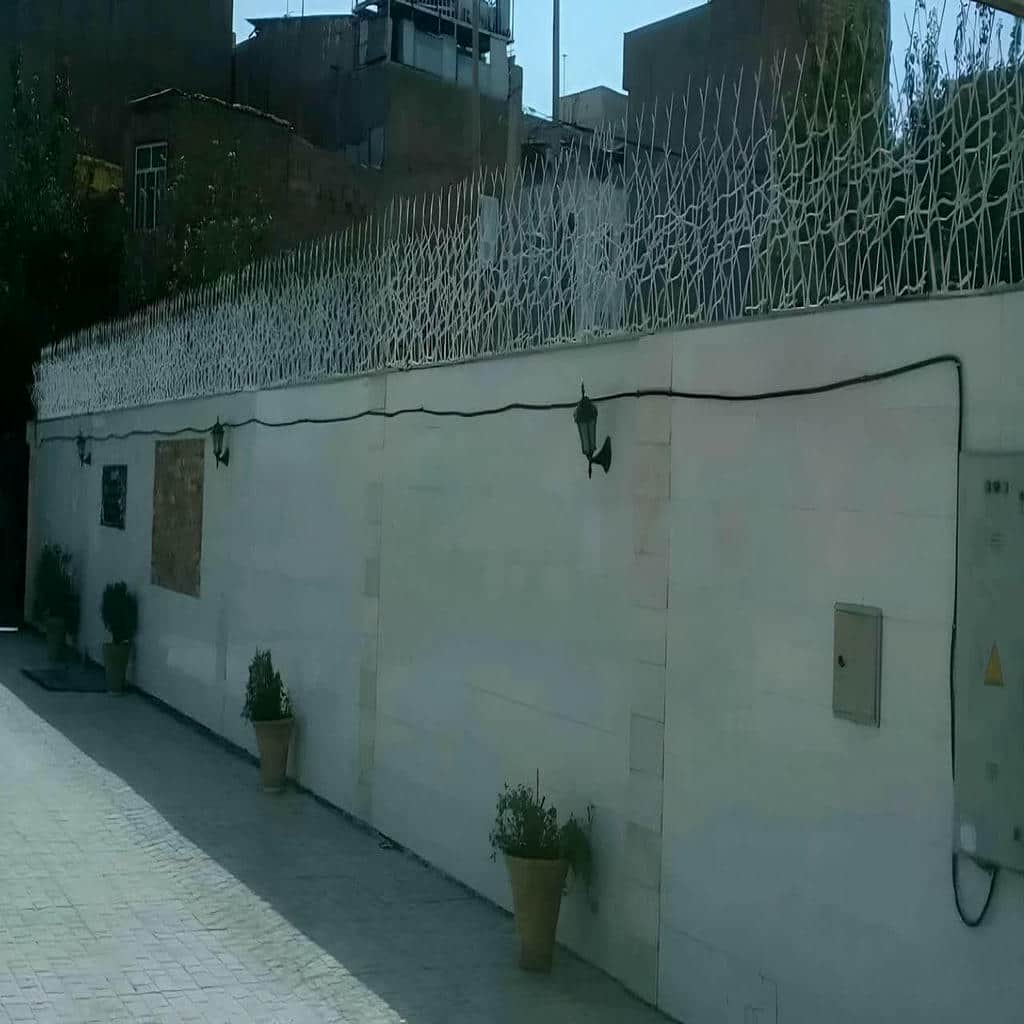 حفاظ شاخ گوزنی در هشتگرد