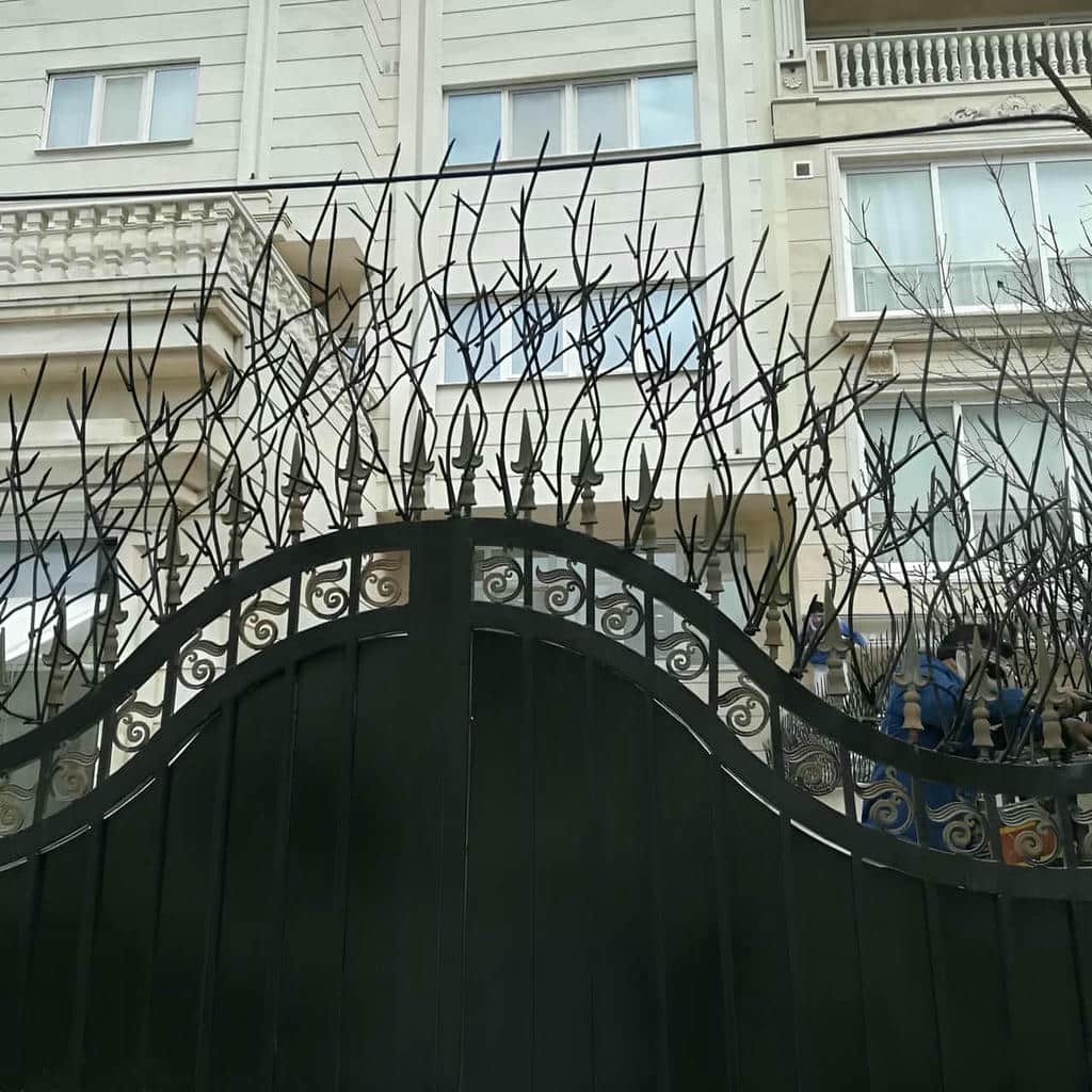 حفاظ شاخ گوزنی در رفسنجان