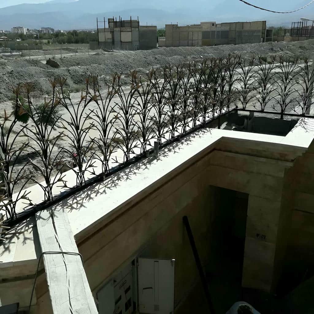 خرید حفاظ شاخ گوزنی تیغه برنده در زاهدان