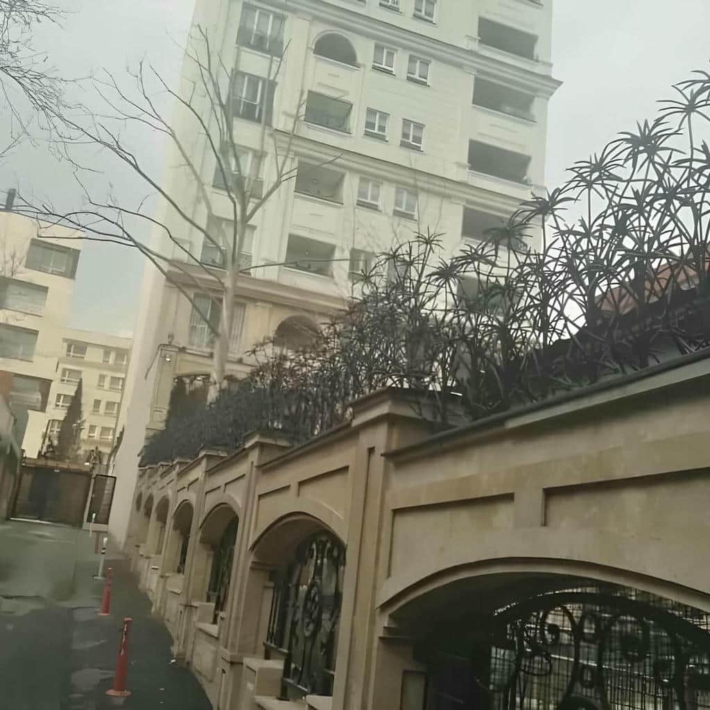 قیمت حفاظ شاخ گوزنی اقتصادی در سمنان
