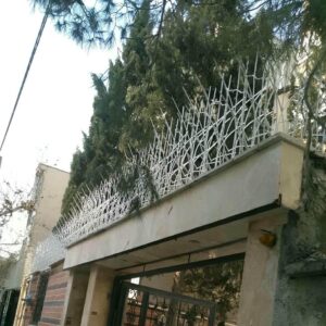 حفاظ شاخ گوزنی در اردبیل