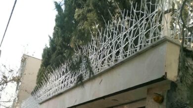 حفاظ شاخ گوزنی در اردبیل