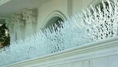 fence-wall-protection-deer-antler-spear-dv