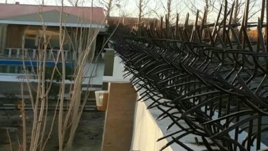 حفاظ شاخ گوزنی در ملارد