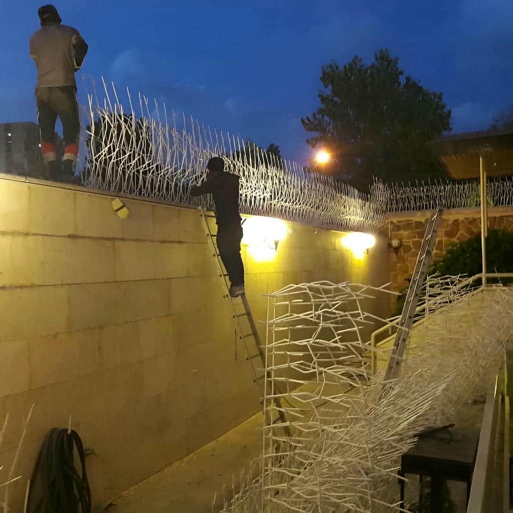 خرید حفاظ شاخ گوزنی با تراکم بالا در ملارد