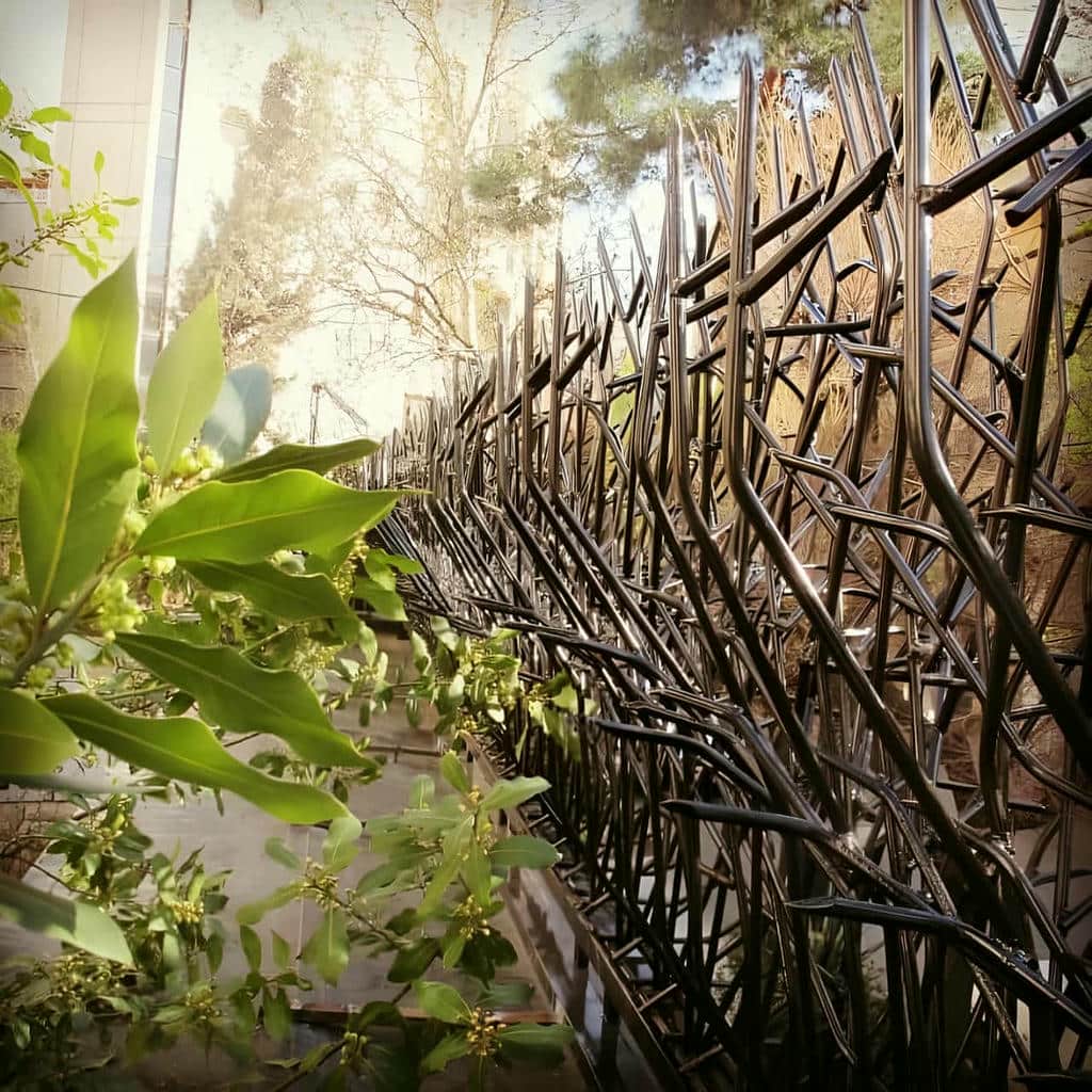 خرید حفاظ شاخ گوزنی تراکم اقتصادی در استان گلستان