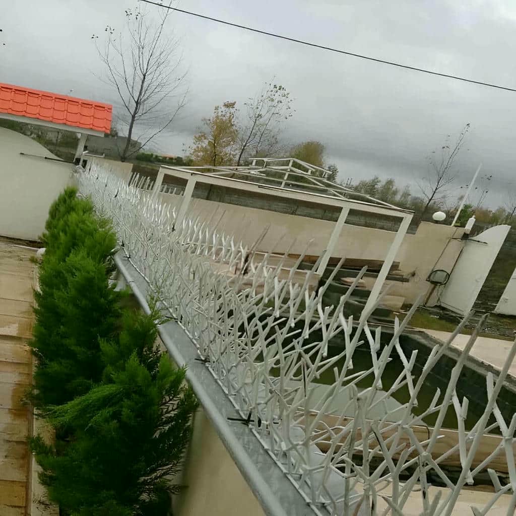 فروش حفاظ شاخ گوزنی در بومهن