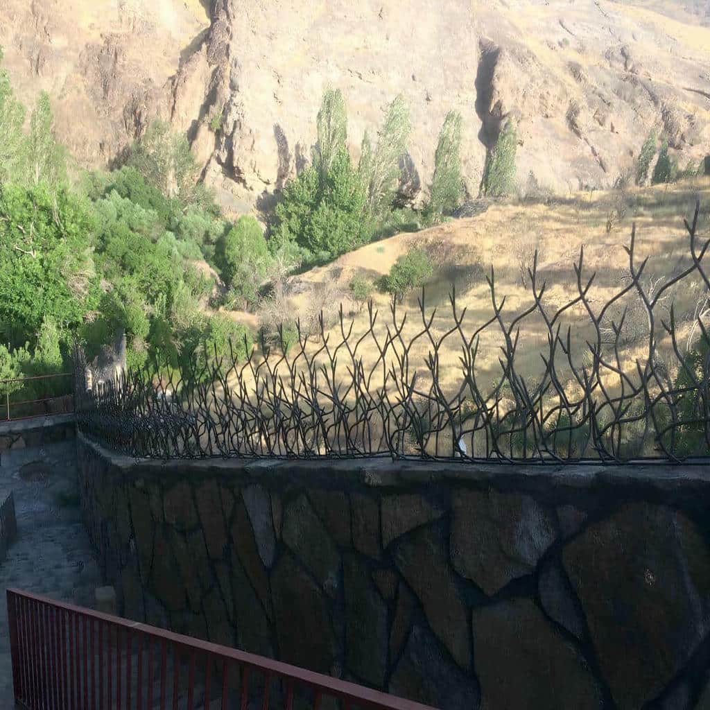 قیمت حفاظ شاخ گوزنی در پردیس