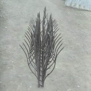 حفاظ شاخ گوزنی در بندرعباس