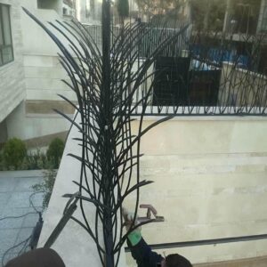 حفاظ شاخ گوزنی در قم